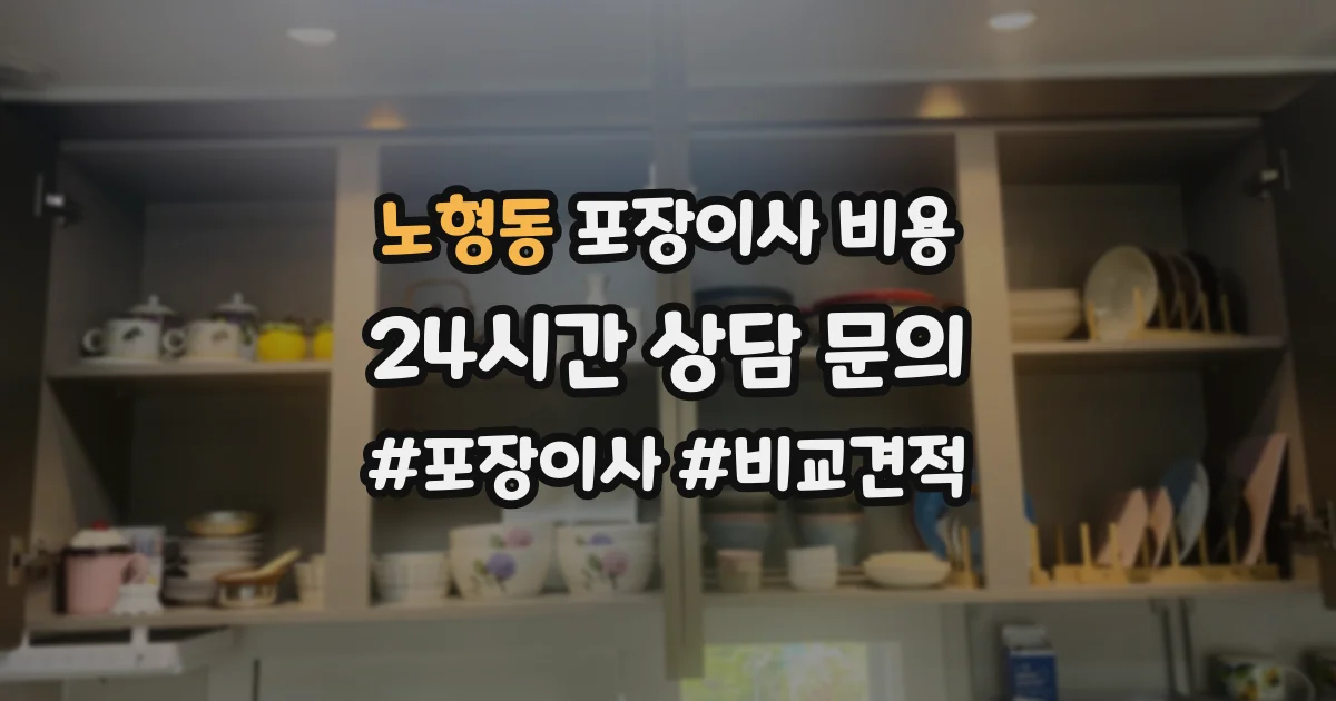 노형동 포장이사 비용