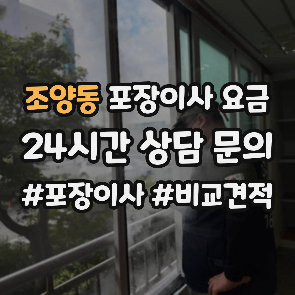 조양동 포장이사 요금