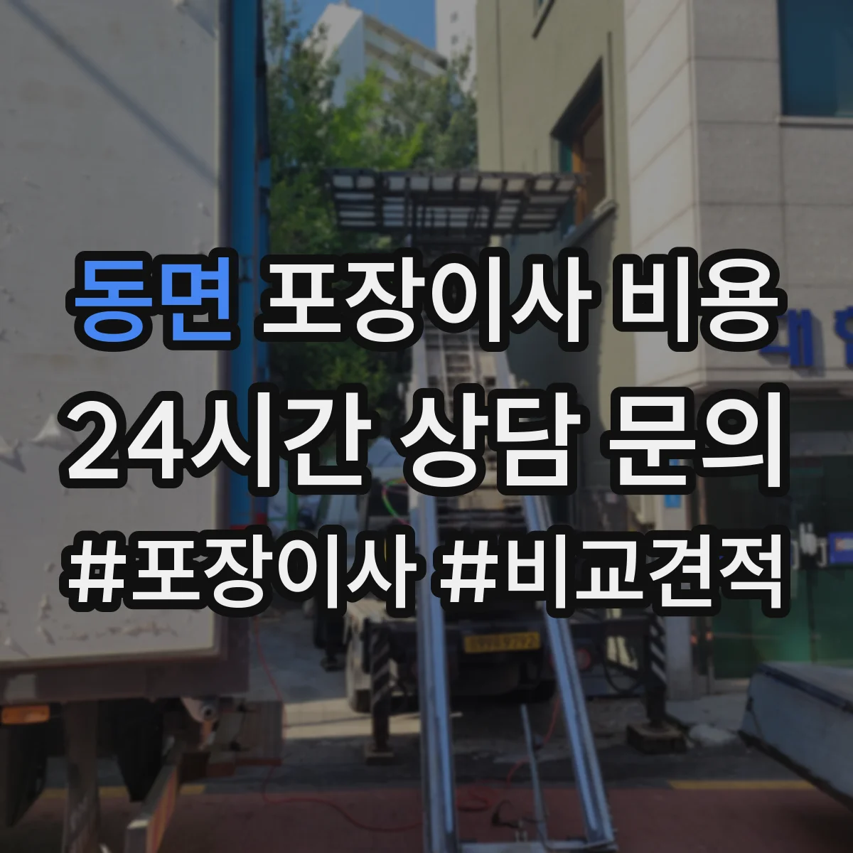 동면 포장이사 비용