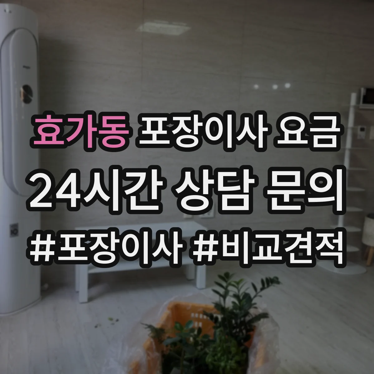 효가동 포장이사 요금