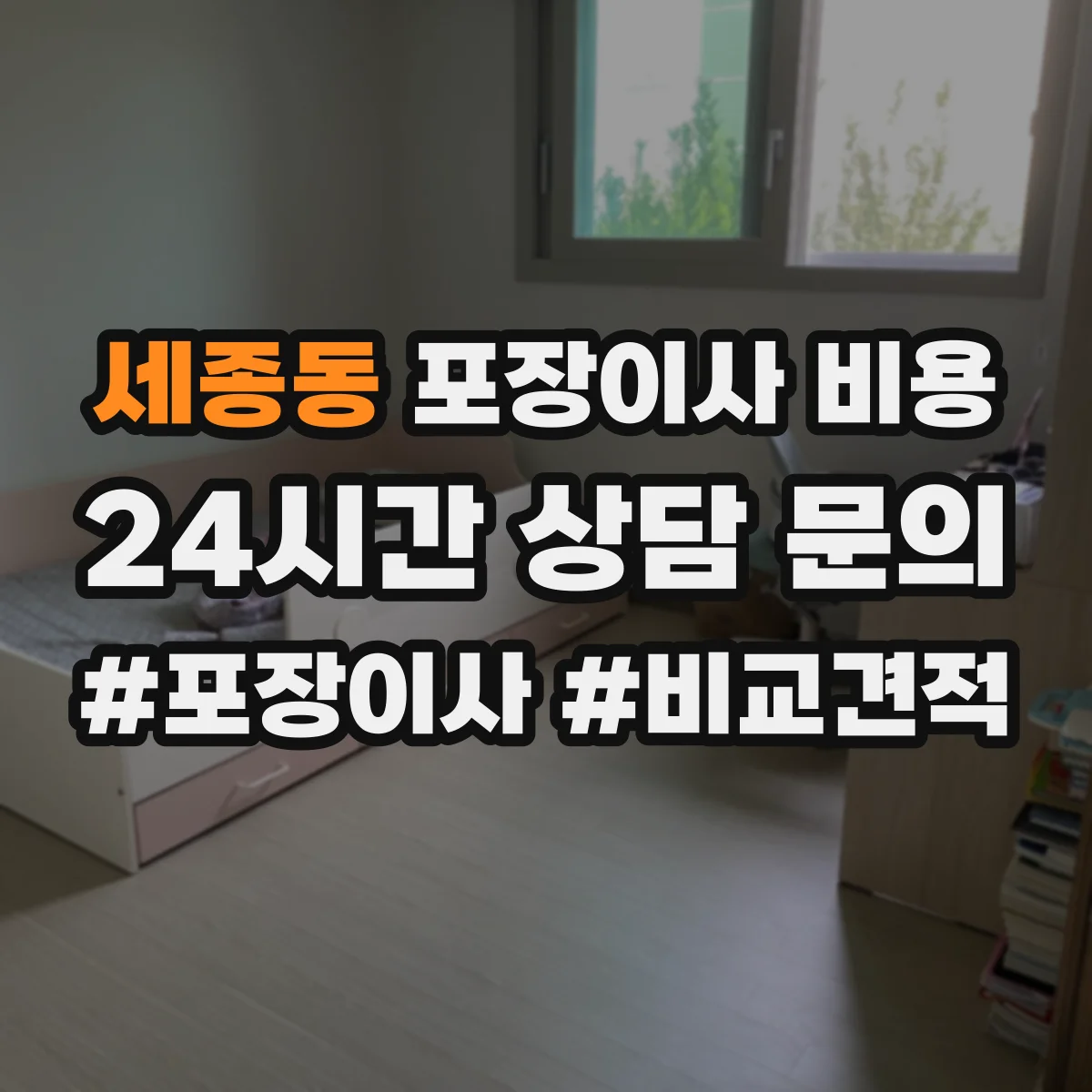 세종동 포장이사 비용