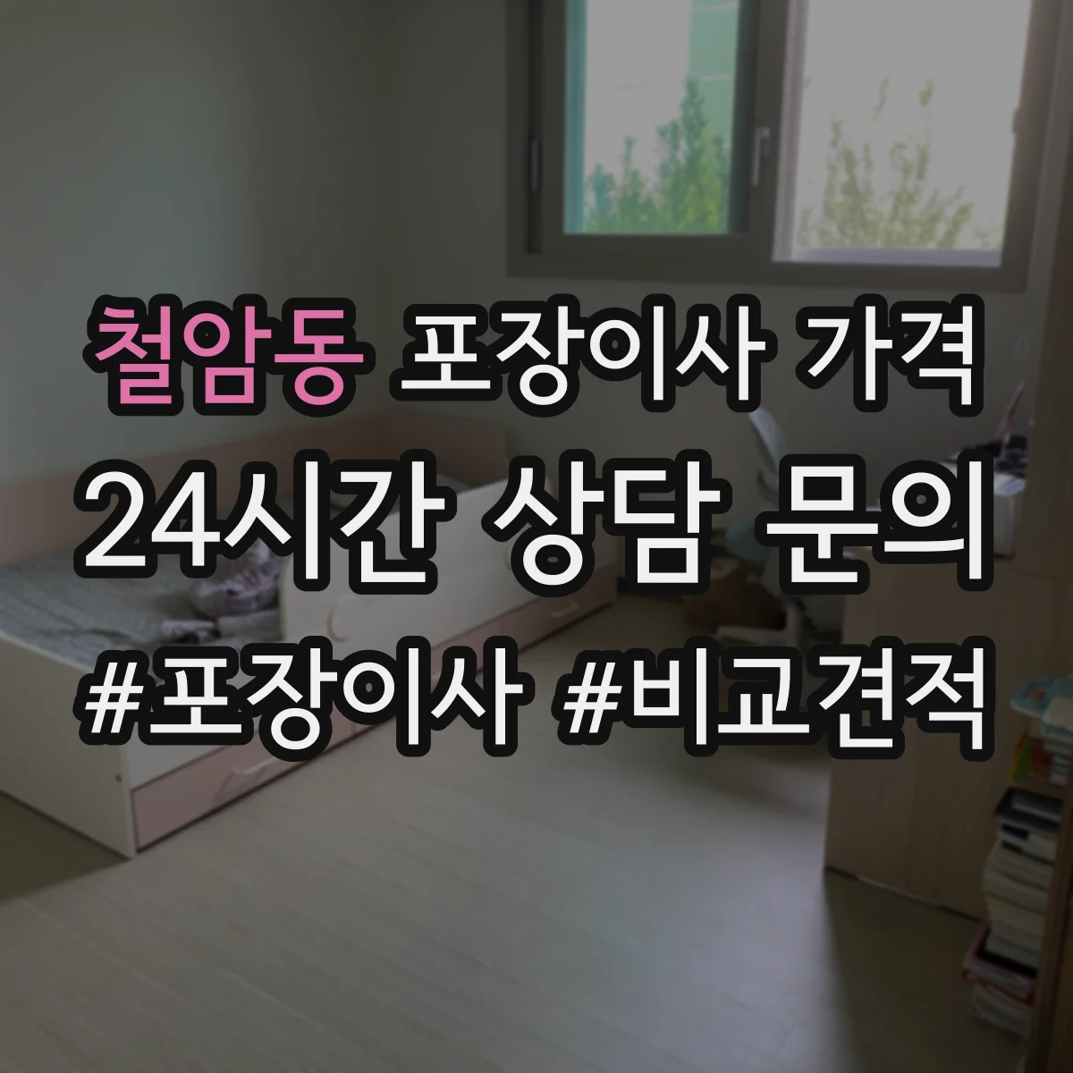 철암동 포장이사 가격