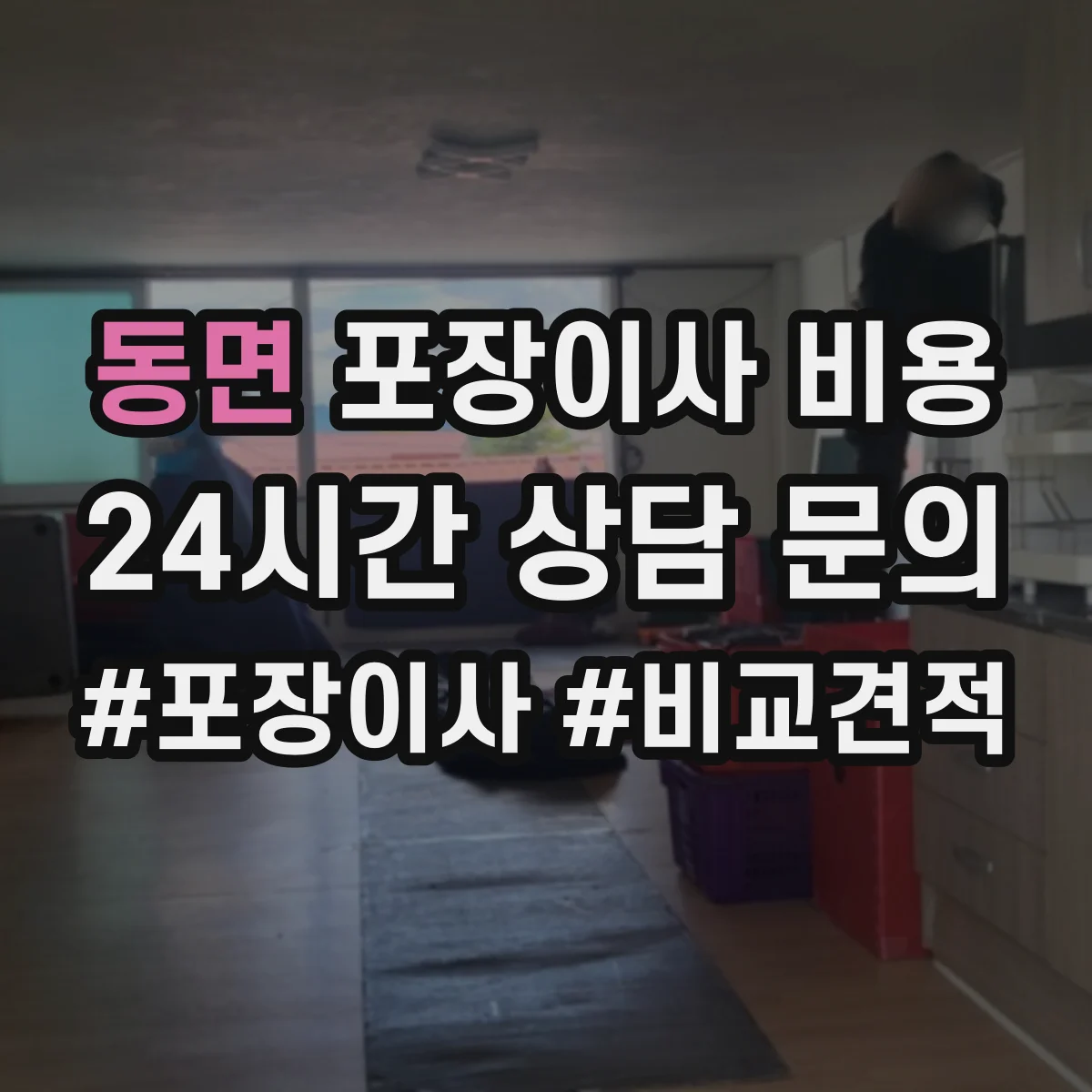 동면 포장이사 비용