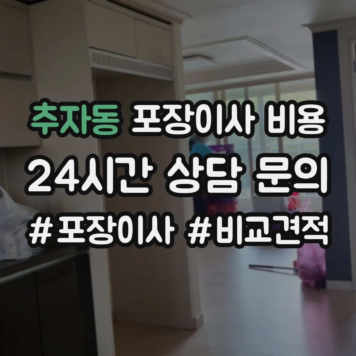 추자동 포장이사 비용