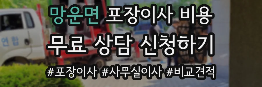 망운면 포장이사 비용