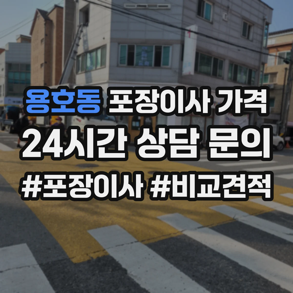 용호동 포장이사 가격