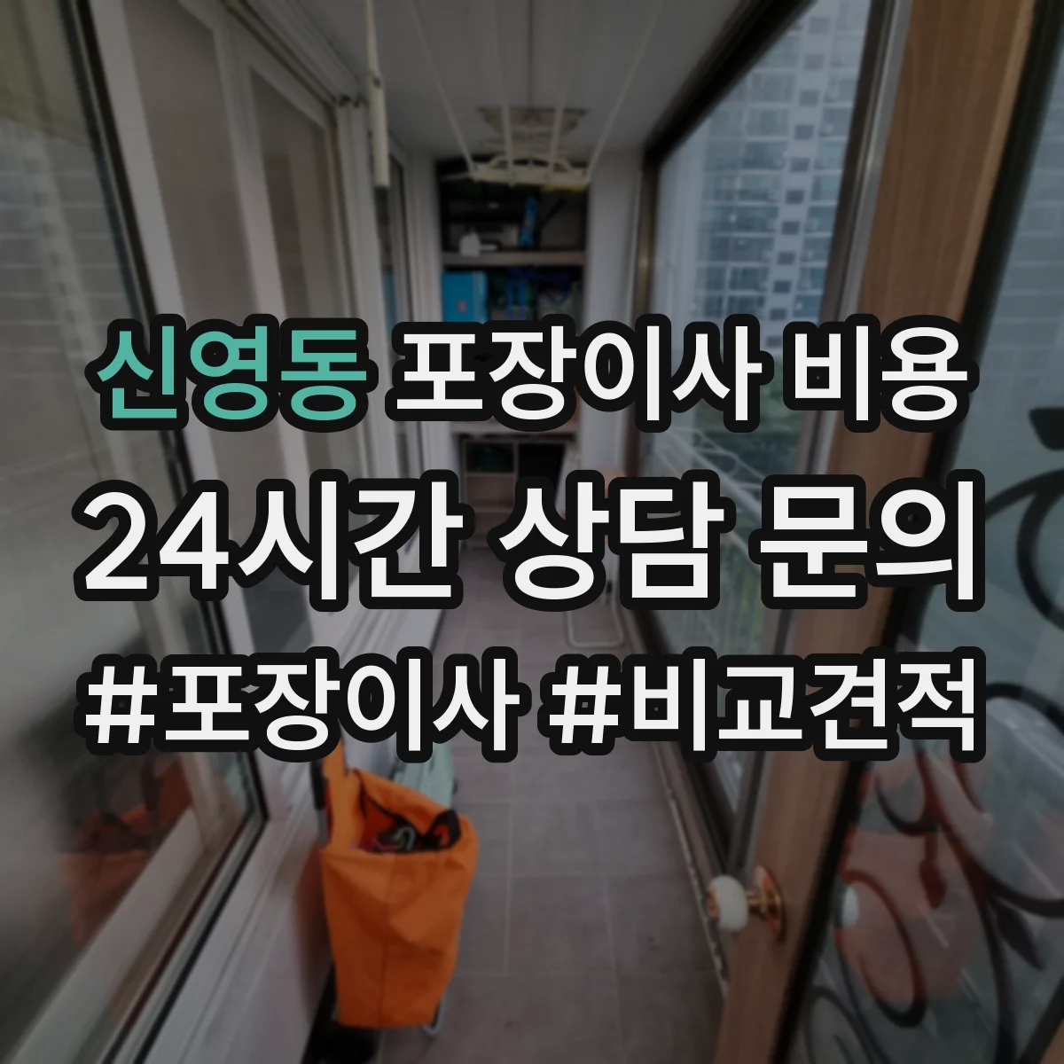 신영동 포장이사 비용