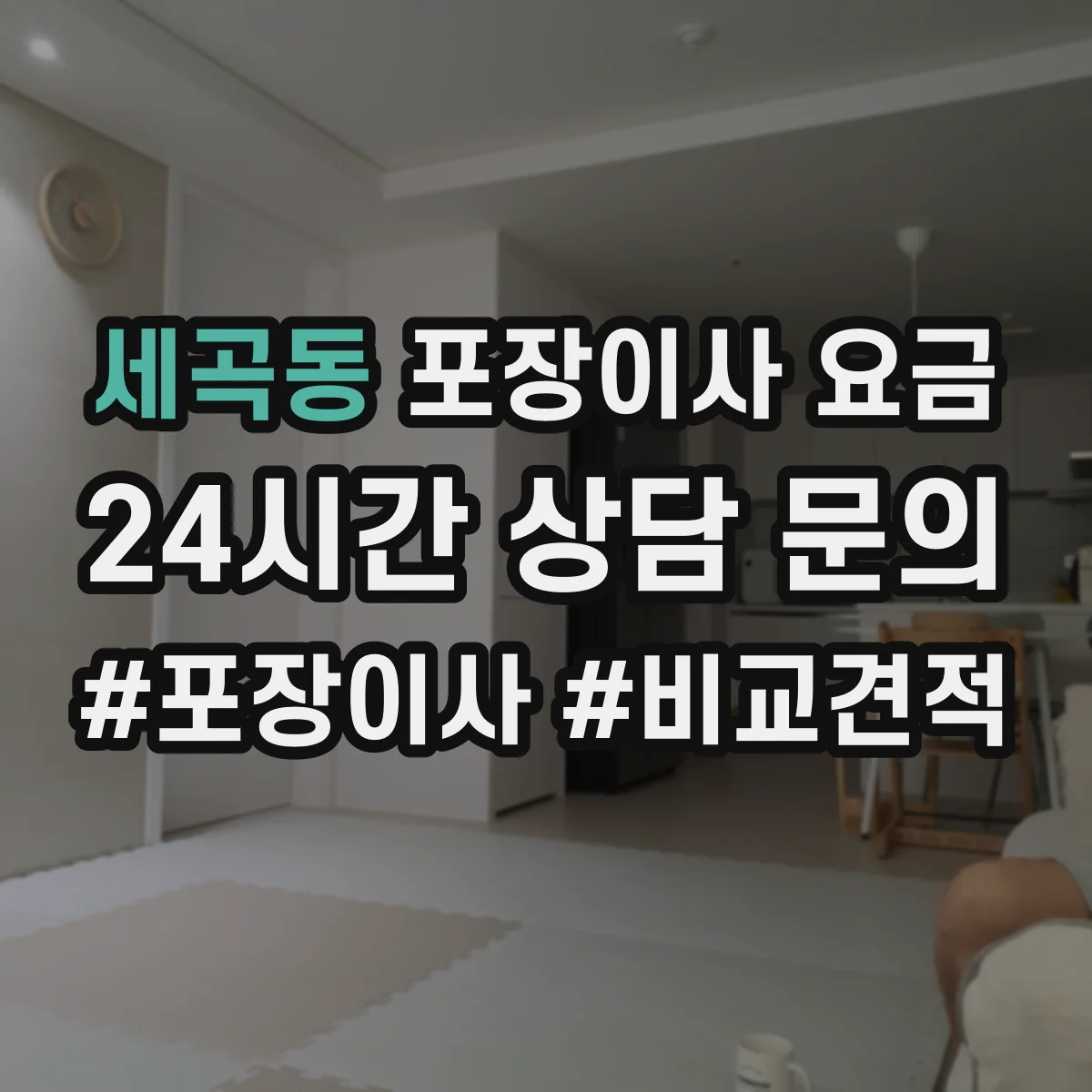 세곡동 포장이사 요금