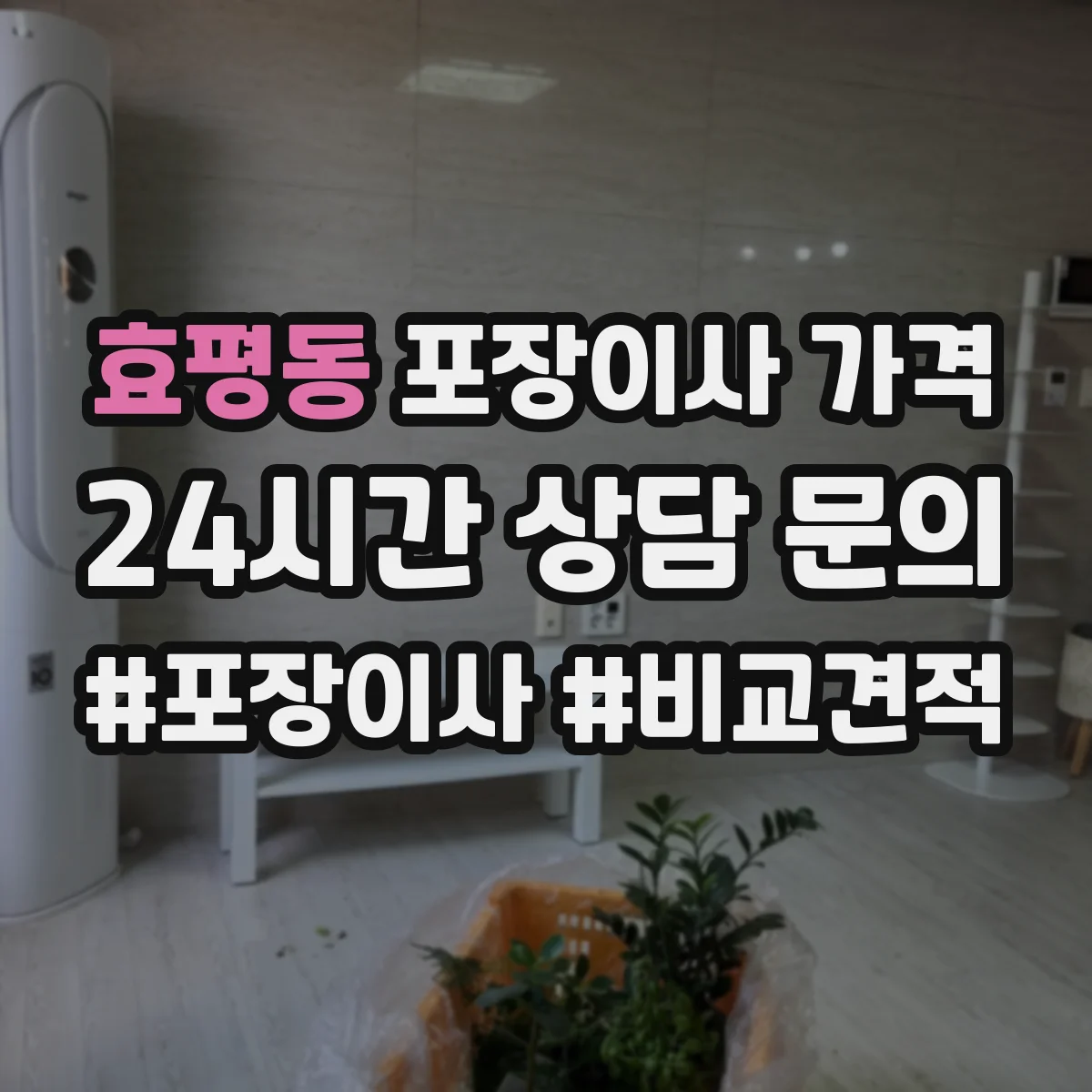 효평동 포장이사 가격