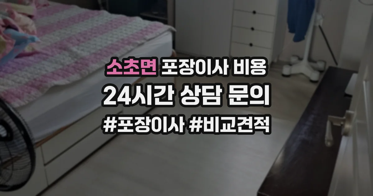 소초면 포장이사 비용