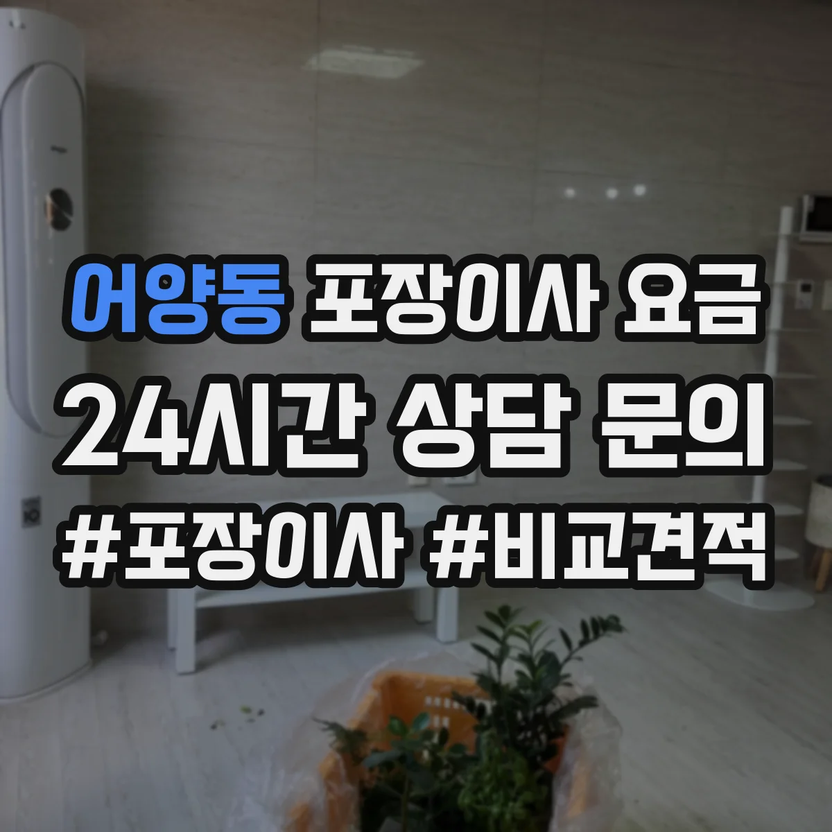 어양동 포장이사 요금