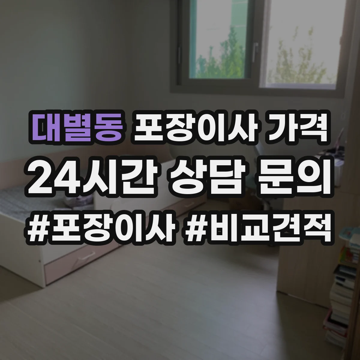 대별동 포장이사 가격