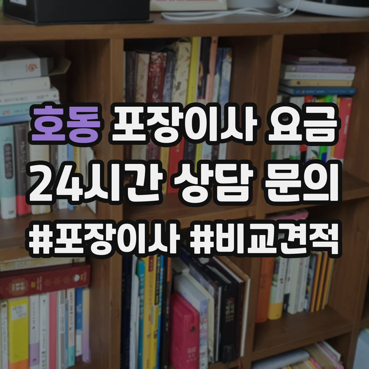 호동 포장이사 요금
