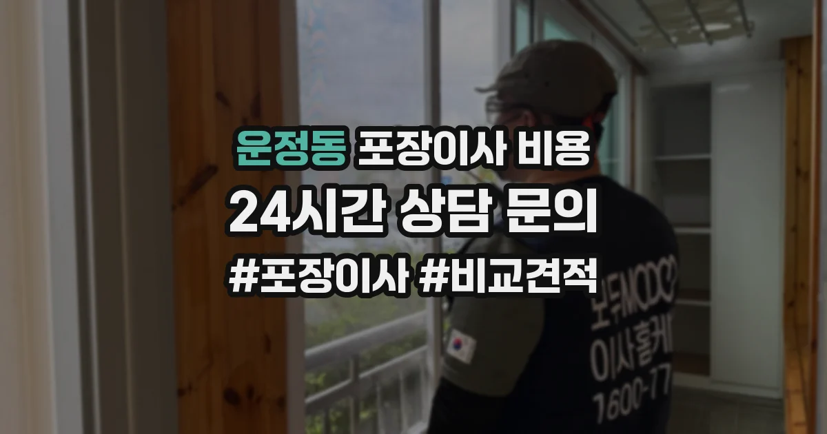 운정동 포장이사 비용