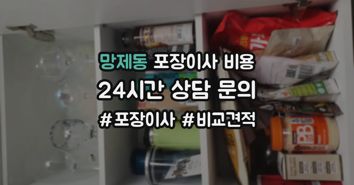 망제동 포장이사 비용