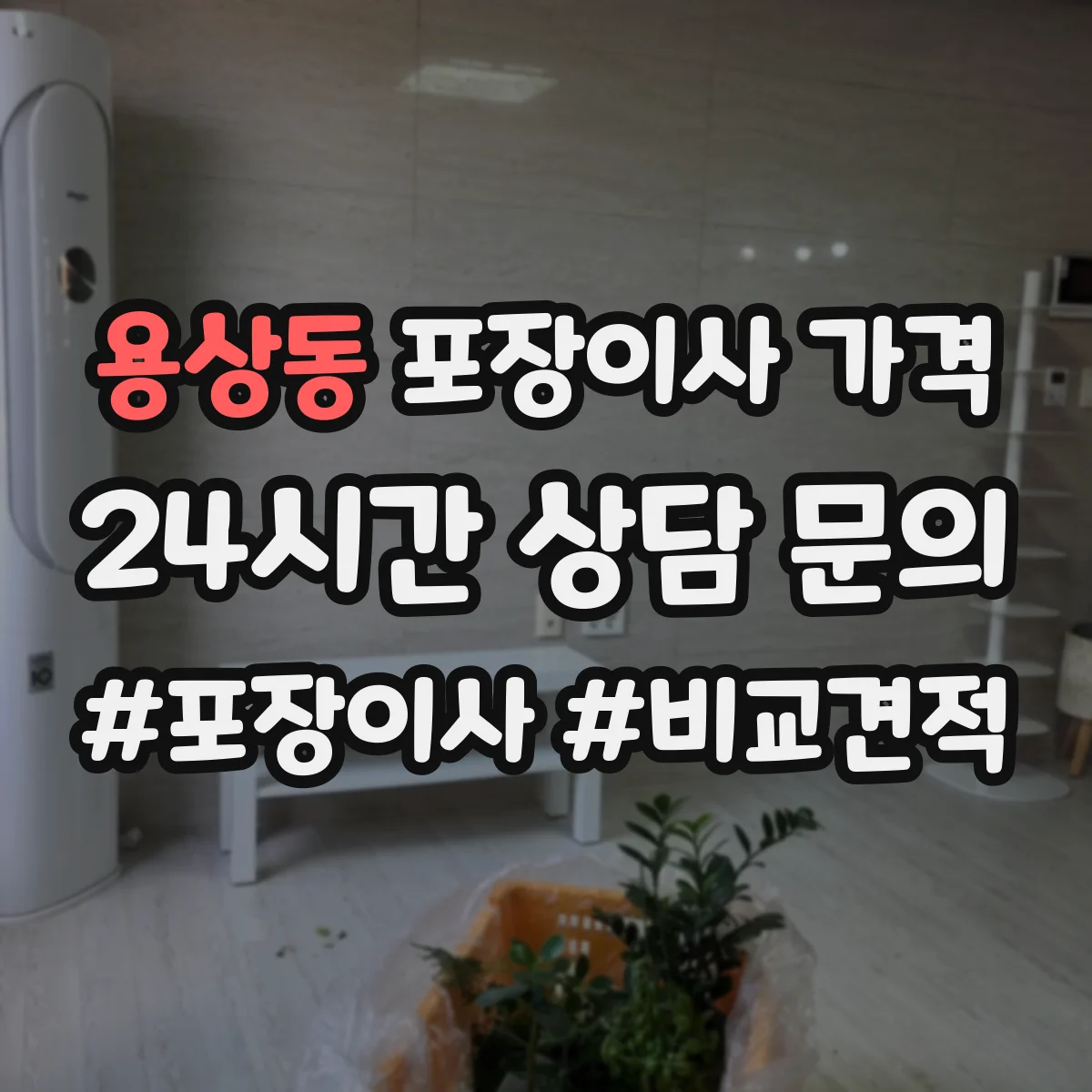 용상동 포장이사 가격