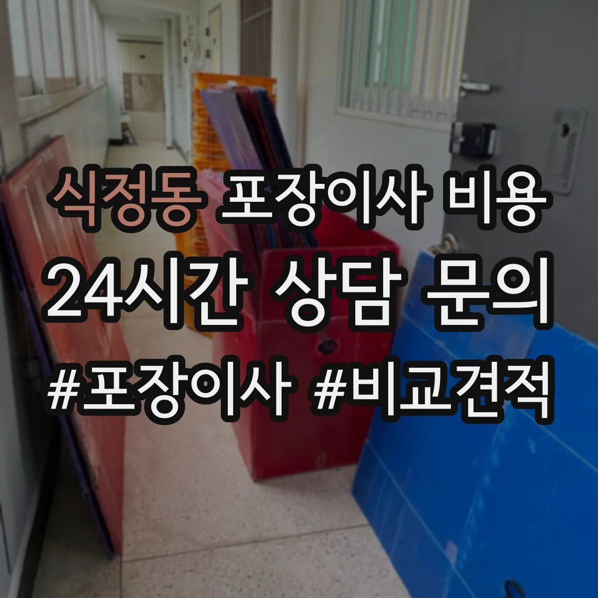 식정동 포장이사 비용