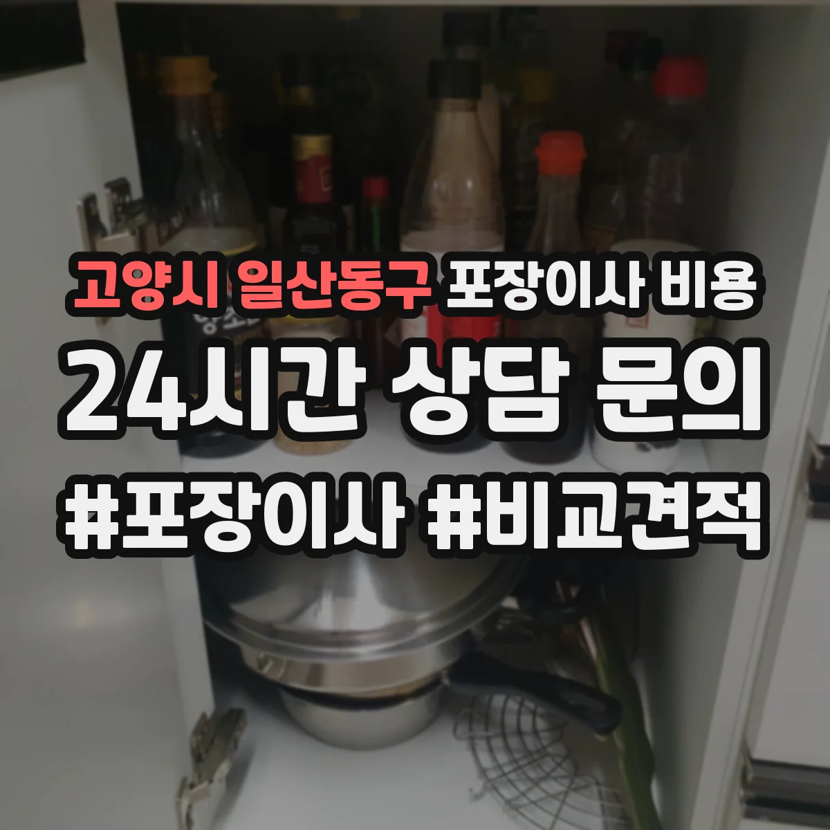 고양시 일산동구 포장이사 비용