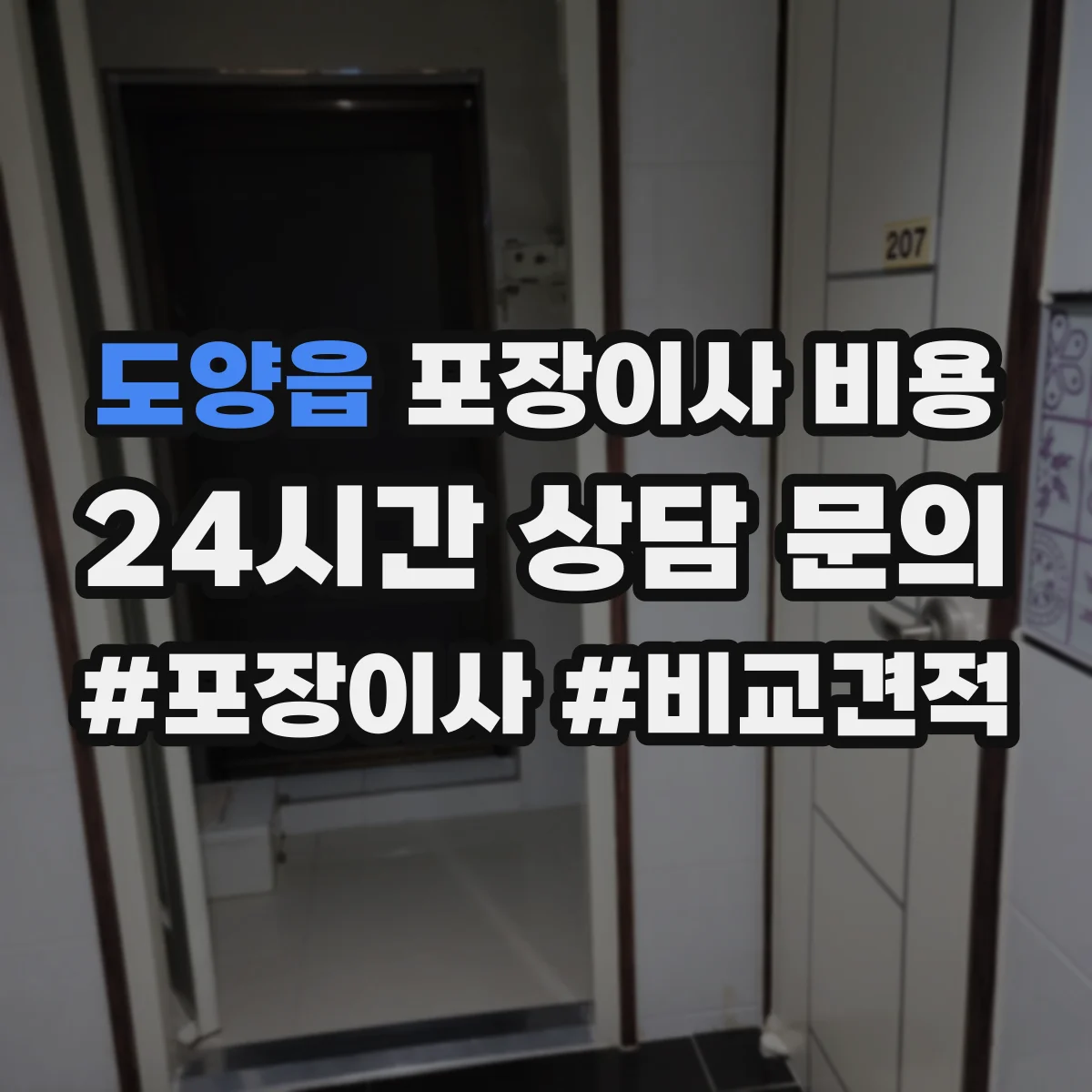 도양읍 포장이사 비용