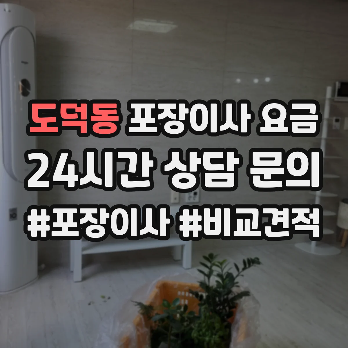 도덕동 포장이사 요금