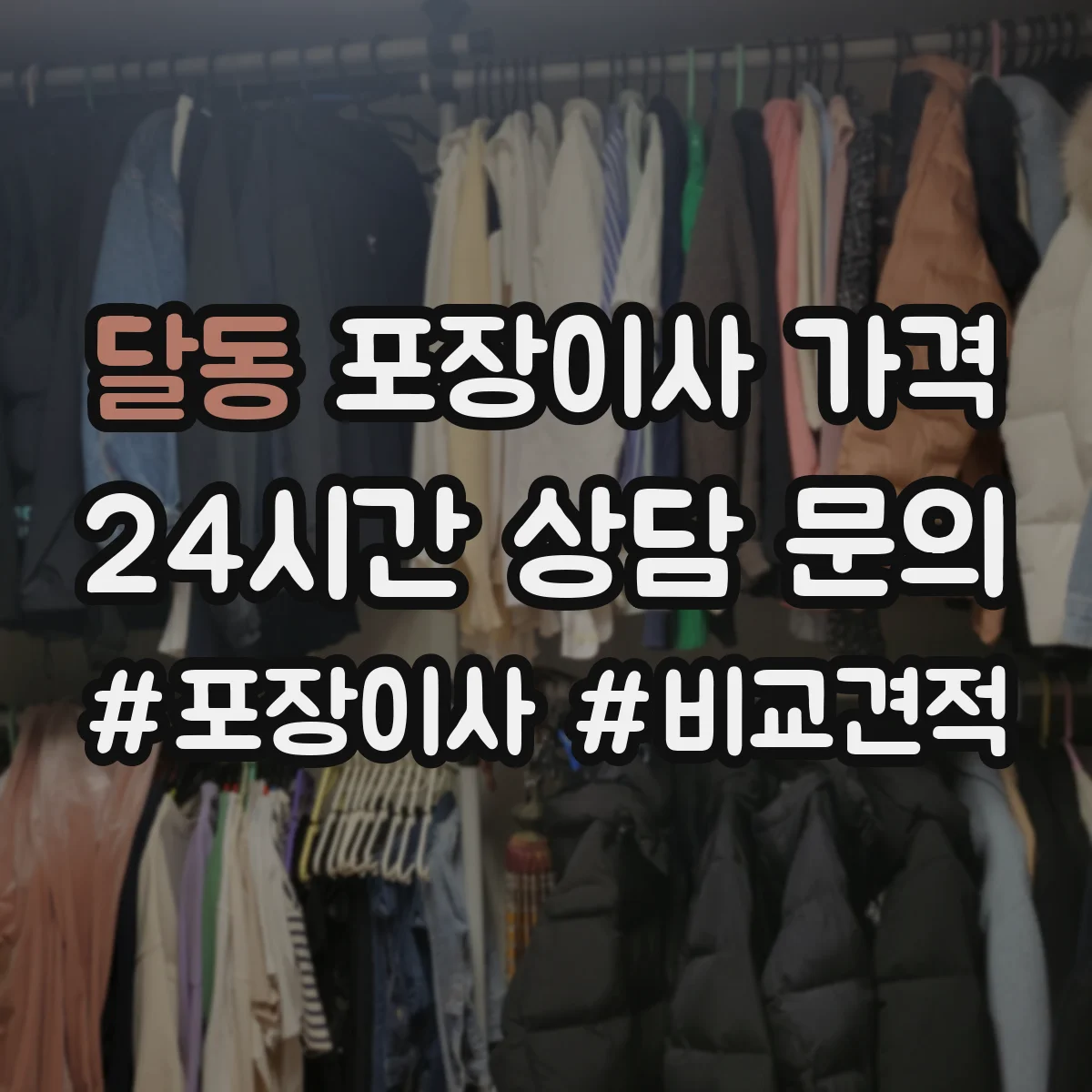 달동 포장이사 가격