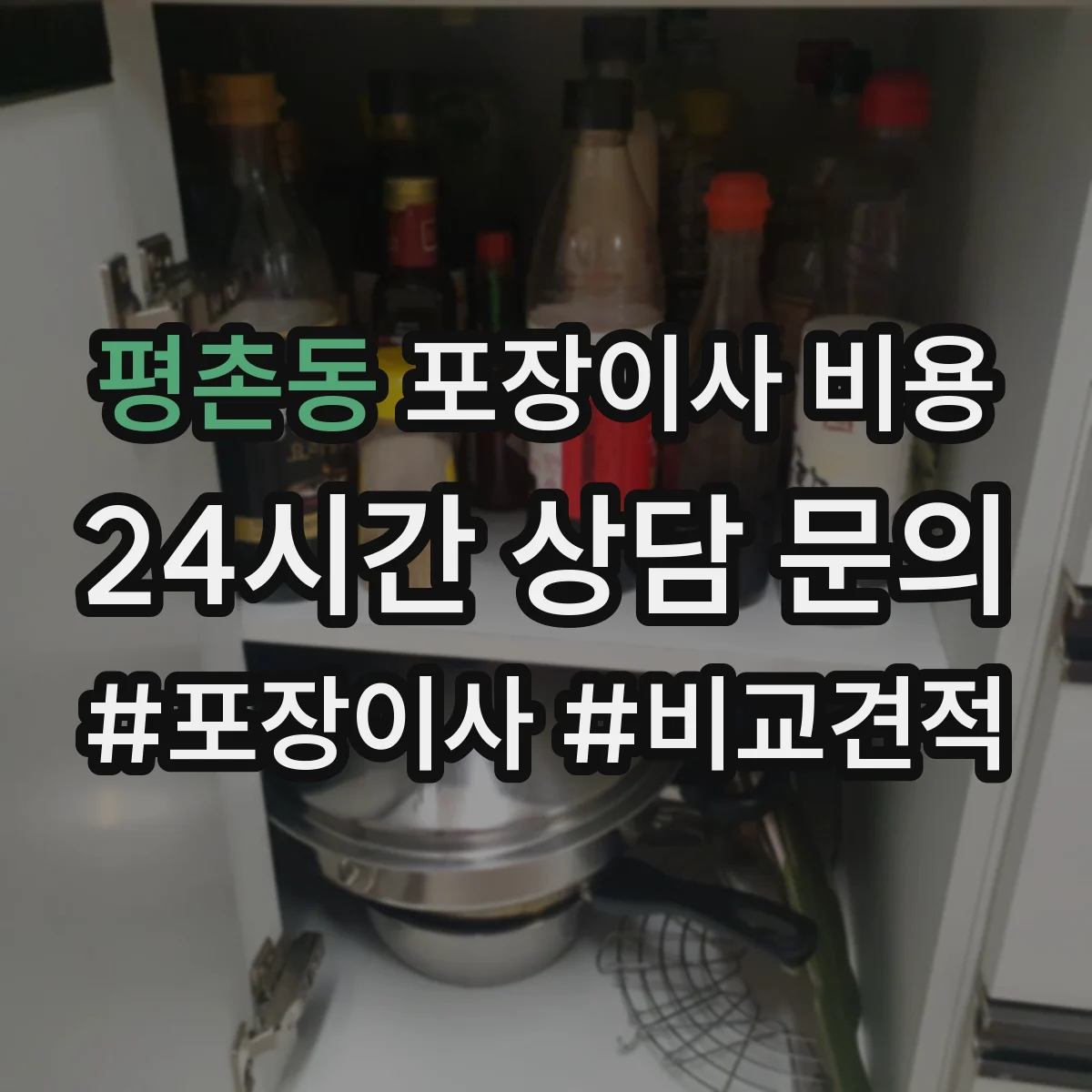 평촌동 포장이사 비용