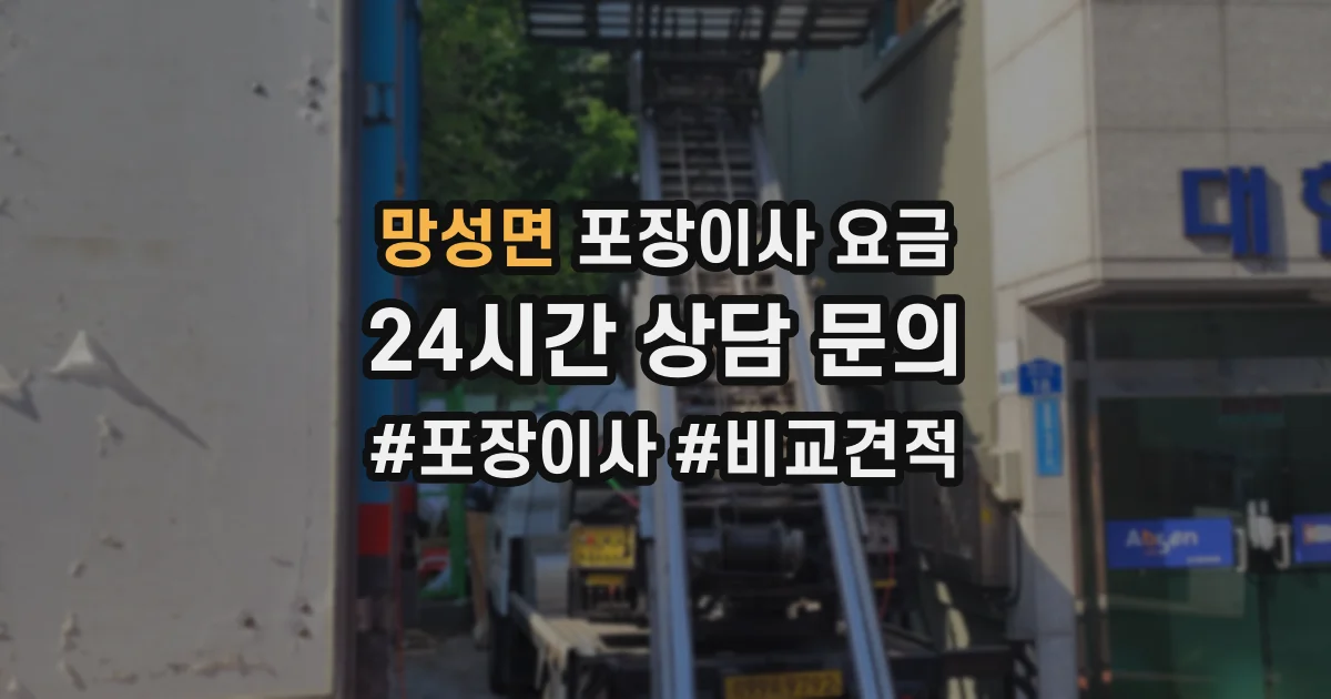 망성면 포장이사 요금