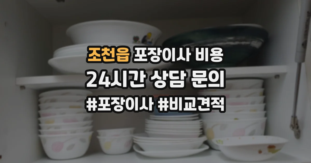 조천읍 포장이사 비용