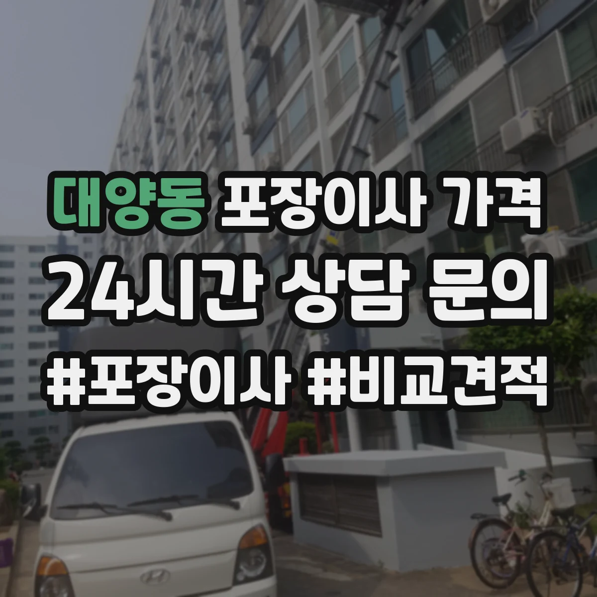 대양동 포장이사 가격