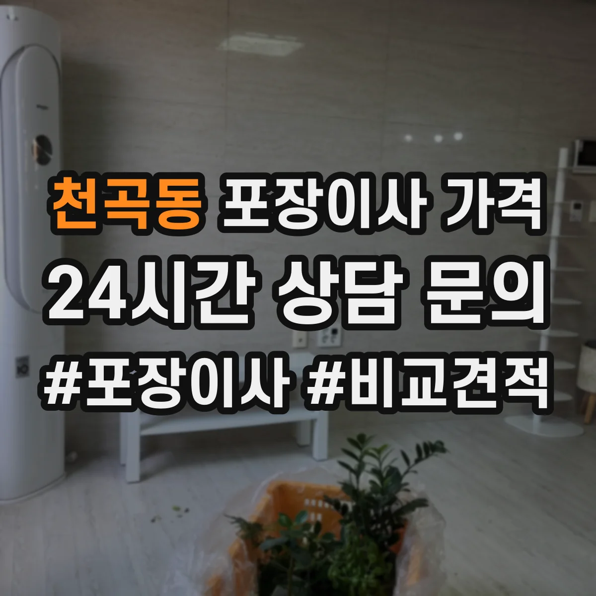 천곡동 포장이사 가격