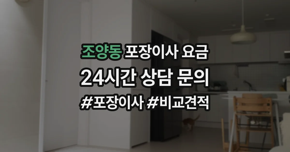 조양동 포장이사 요금