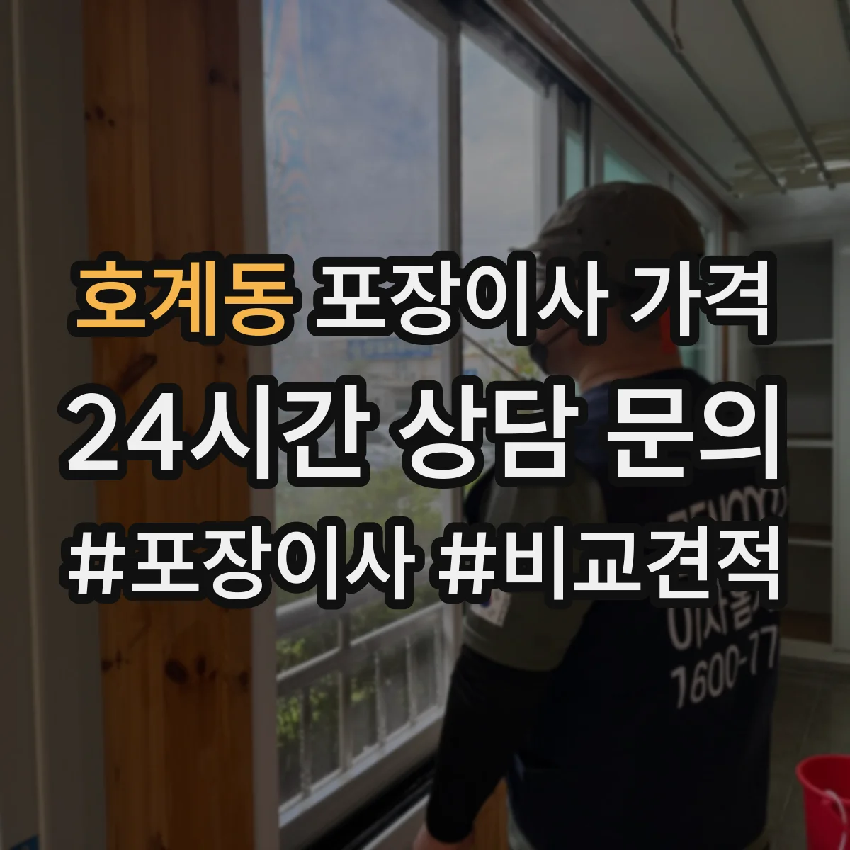 호계동 포장이사 가격