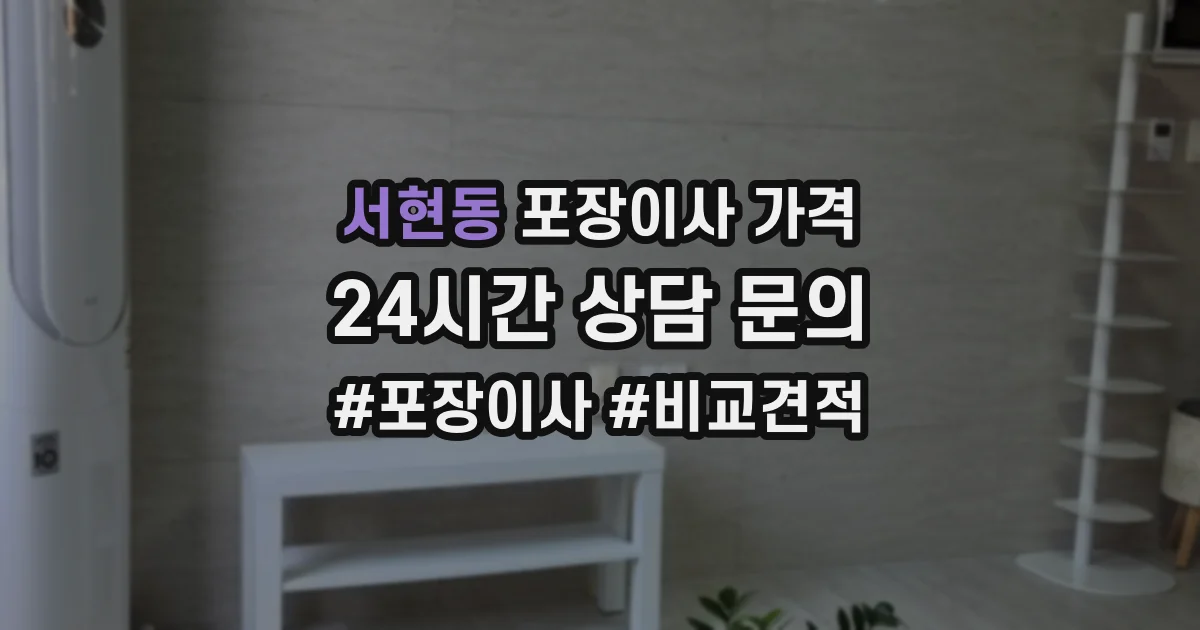 서현동 포장이사 가격