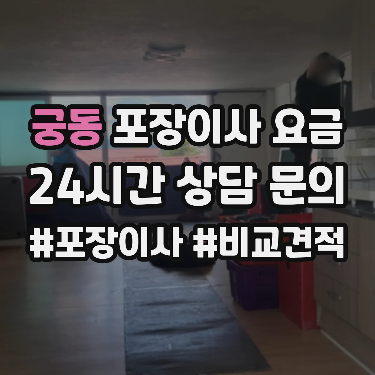 궁동 포장이사 요금