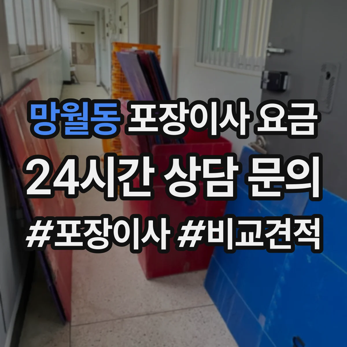 망월동 포장이사 요금