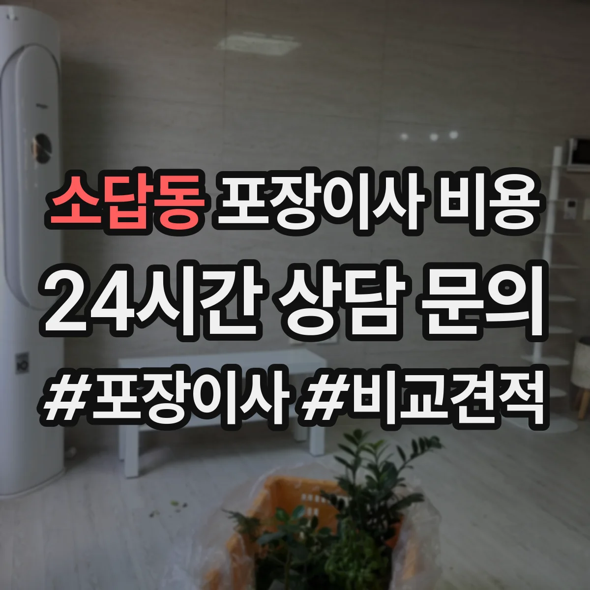 소답동 포장이사 비용