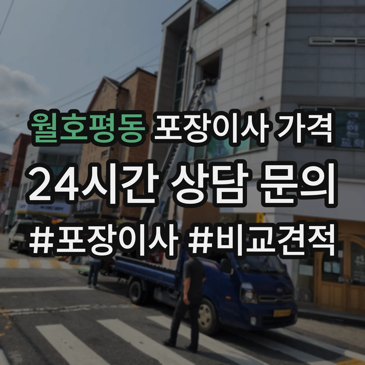 월호평동 포장이사 가격