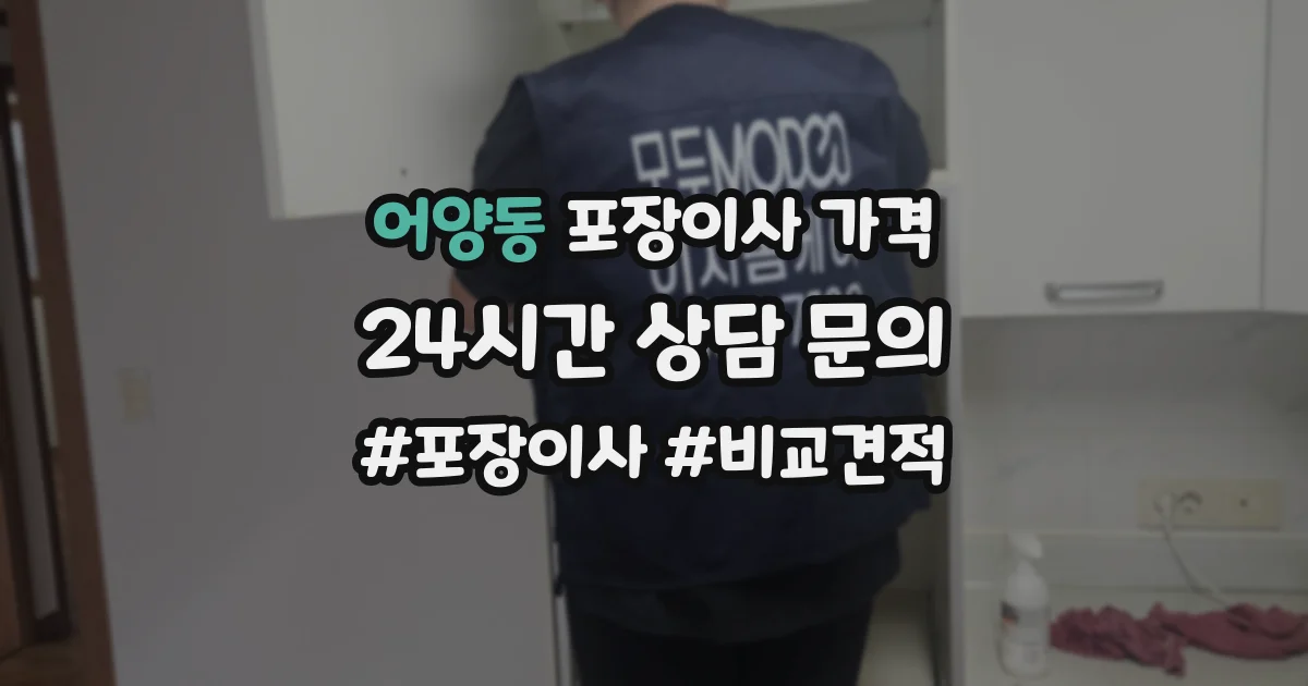 어양동 포장이사 가격