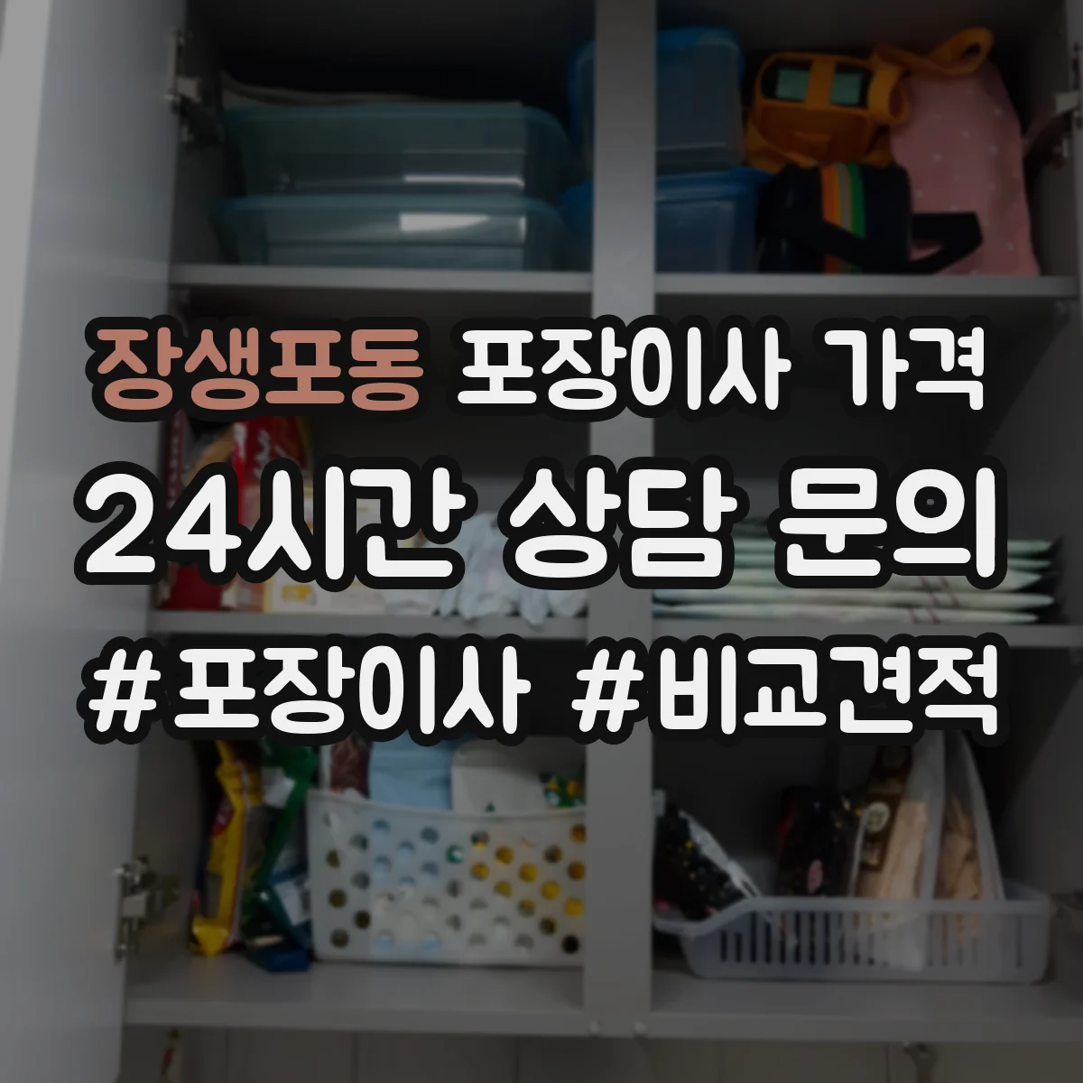 장생포동 포장이사 가격