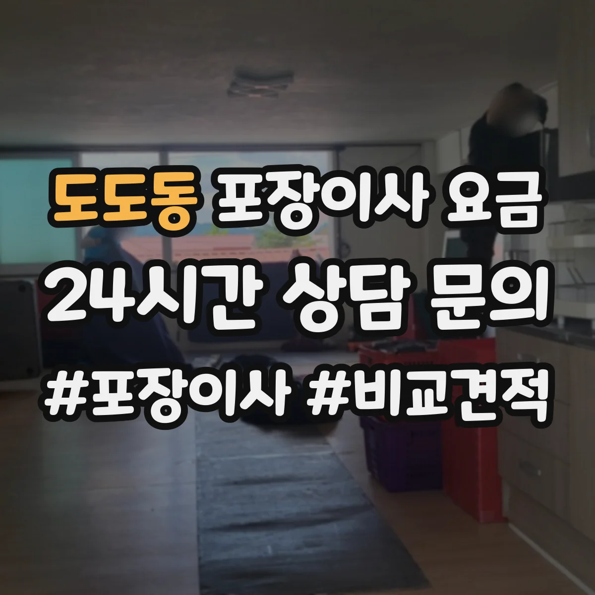 도도동 포장이사 요금