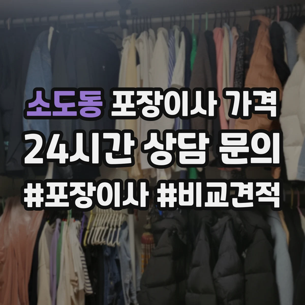 소도동 포장이사 가격