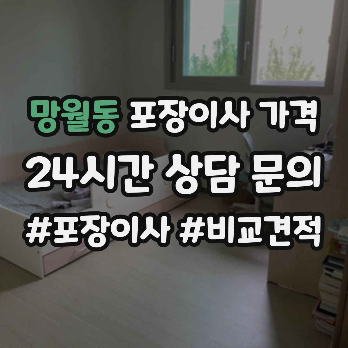 망월동 포장이사 가격