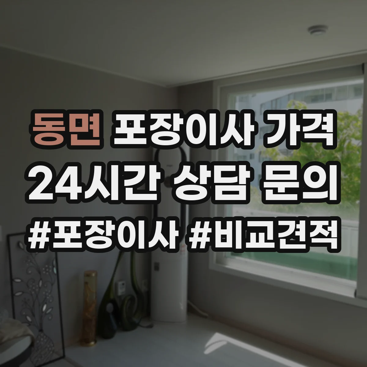 동면 포장이사 가격