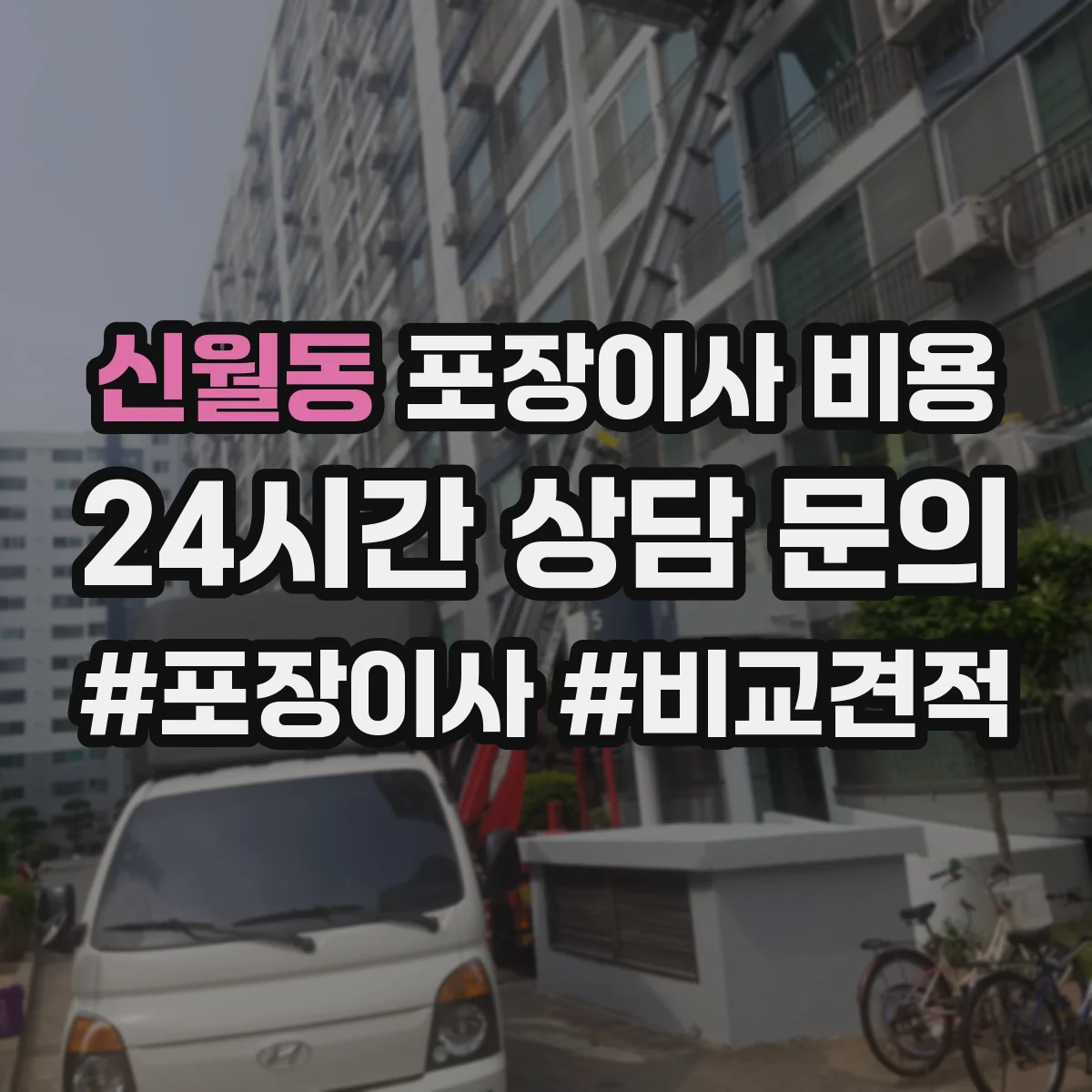 신월동 포장이사 비용