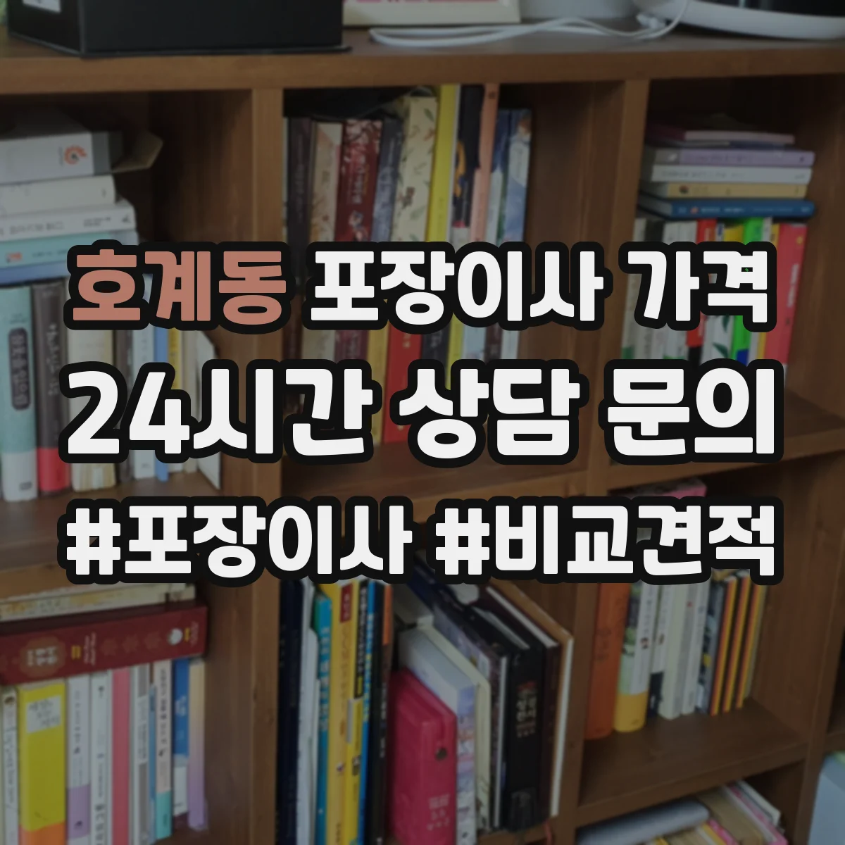 호계동 포장이사 가격