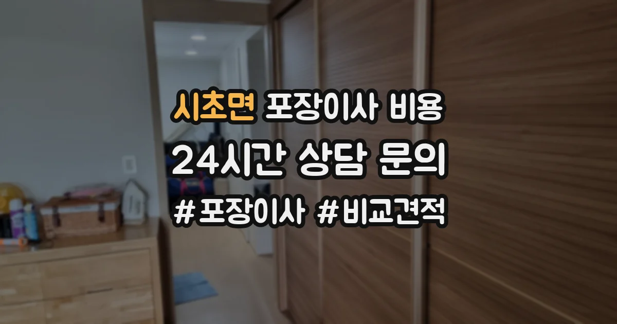 시초면 포장이사 비용