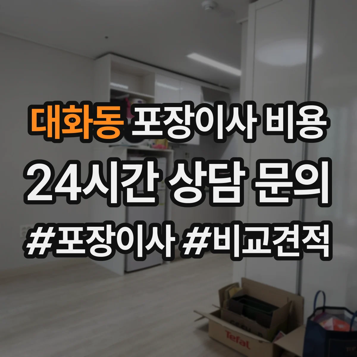 대화동 포장이사 비용