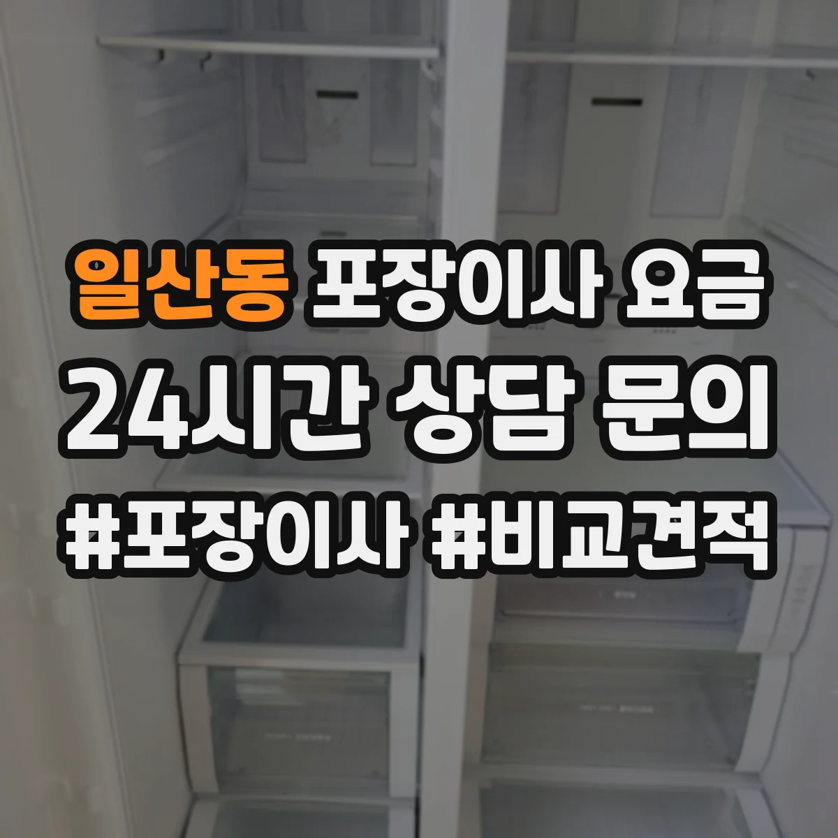 일산동 포장이사 요금