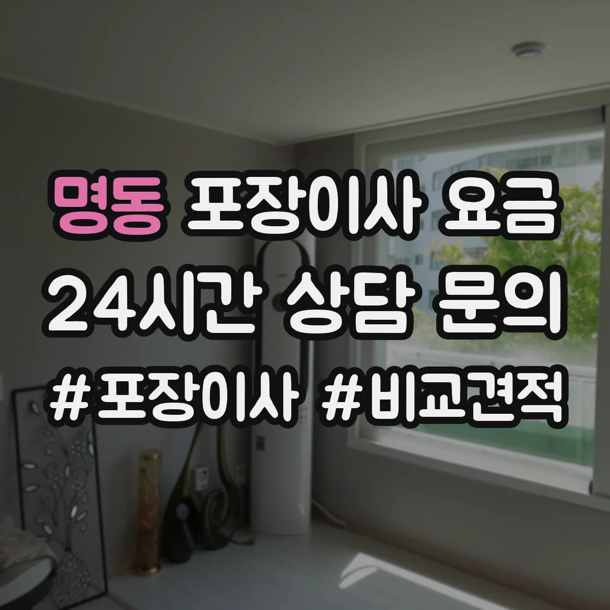 명동 포장이사 요금