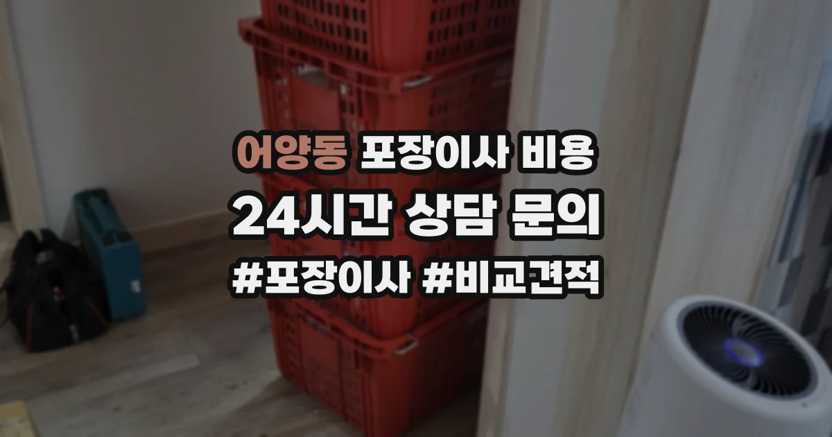 어양동 포장이사 비용